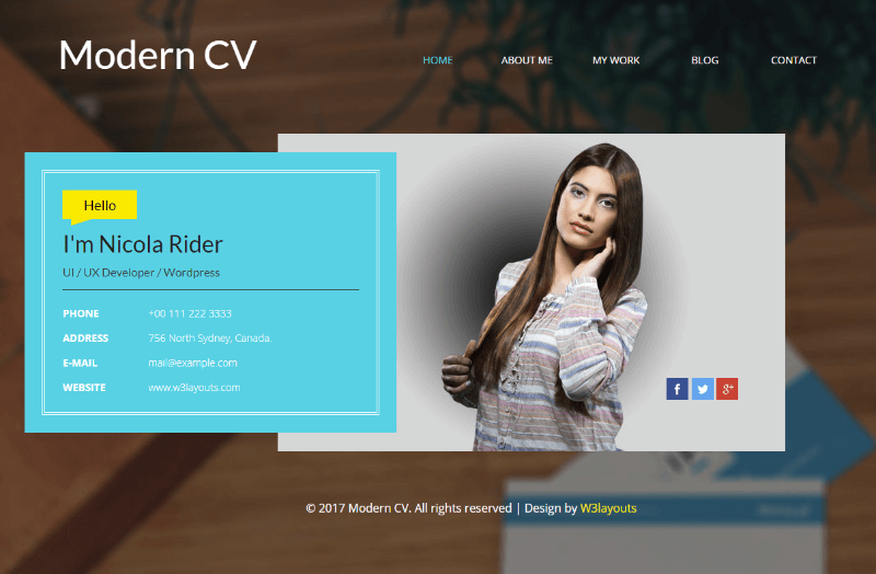 Modern CV