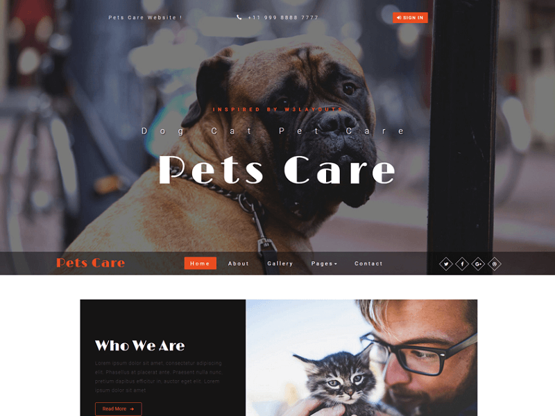 Pets Care