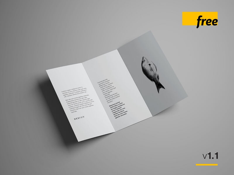 Advanced Trifold Brochure