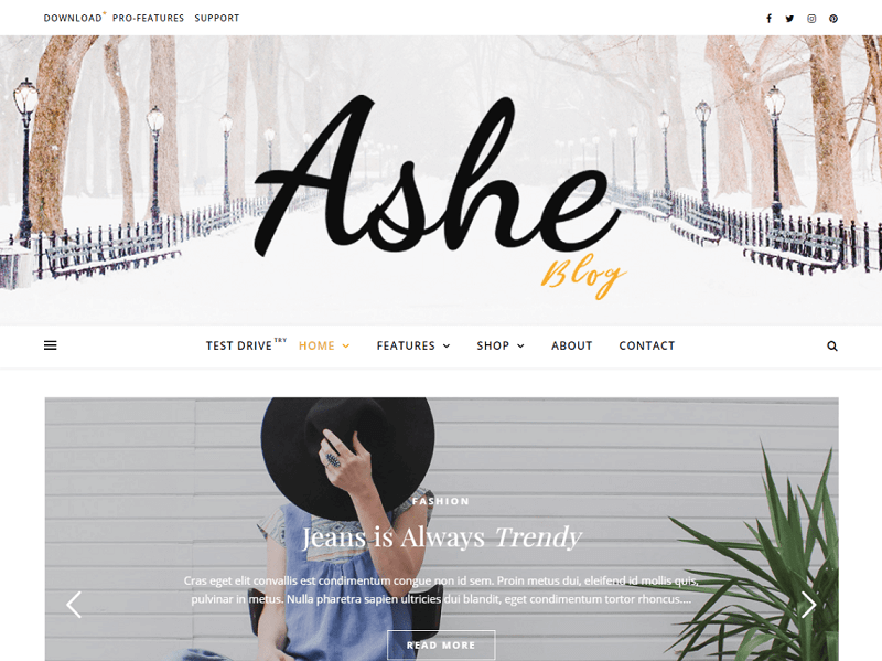 Ashe Blog