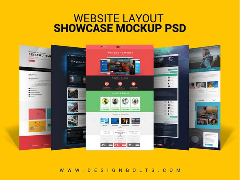 Website Layout Design Showcase