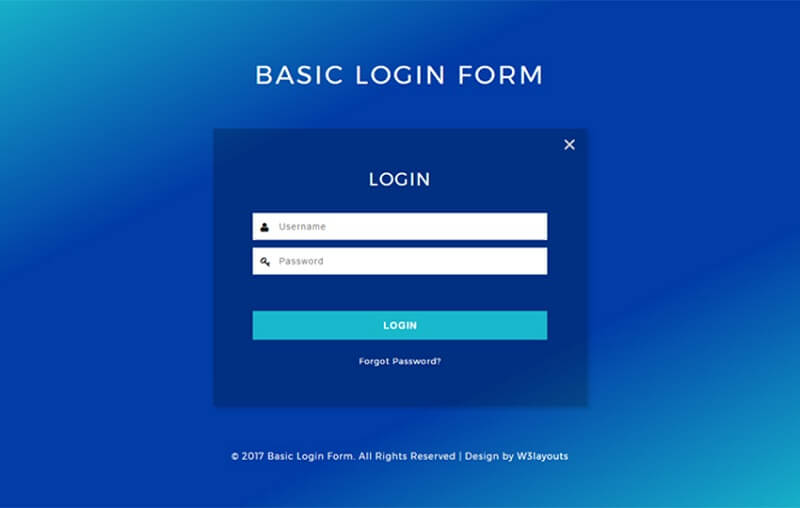 Basic Login Form