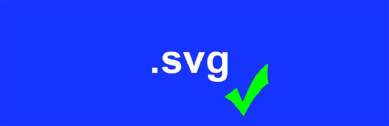 Enable svg File Uploads