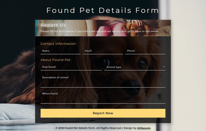 Found Pet Details Form