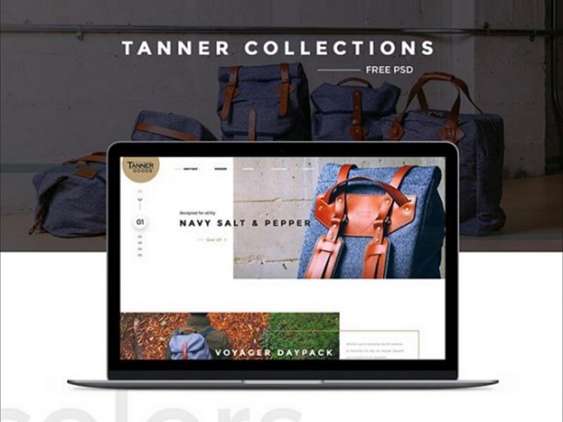 Tanner Collections