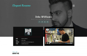 Elegant Resume