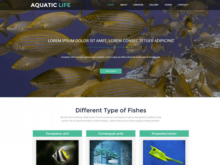 26 Best Free Animals Pets HTML Website Templates 2024