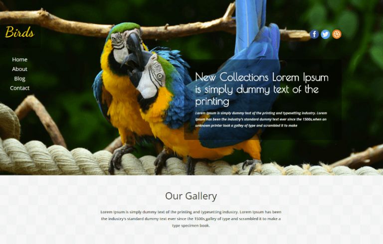26 Best Free Animals Pets HTML Website Templates 2024