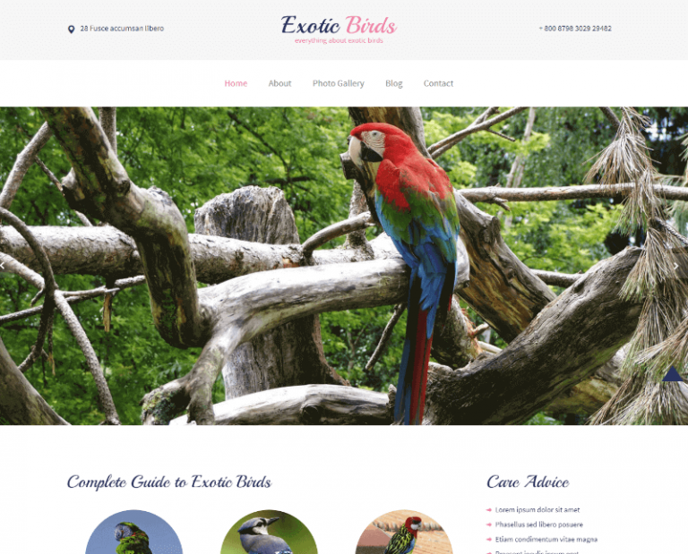 26 Best Free Animals Pets HTML site Templates 2024