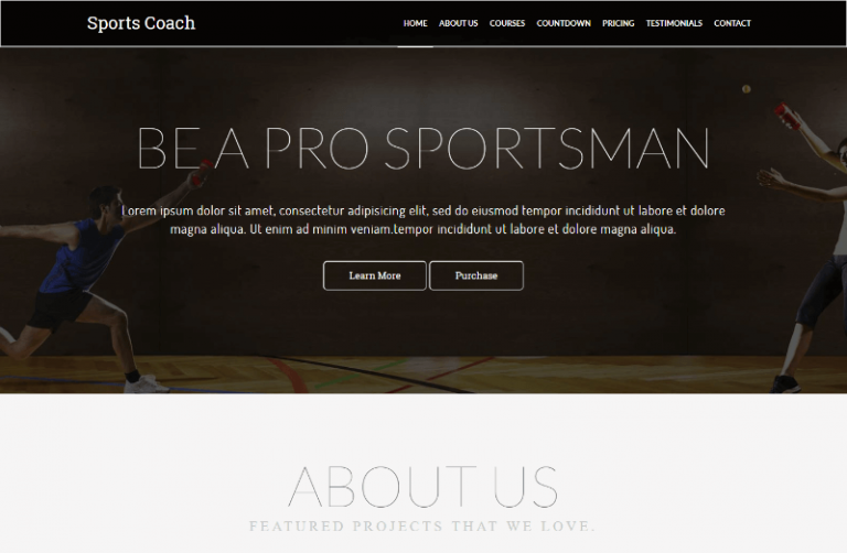 28 Best Free Sports HTML Website Templates 2024