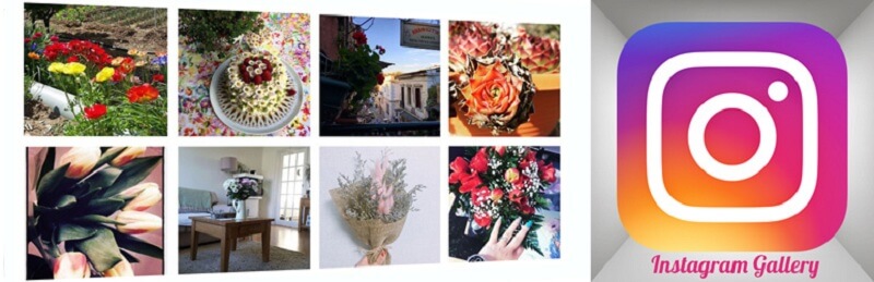 Free Instagram WordPress Plugins