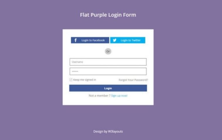 Flat Purple Login Form