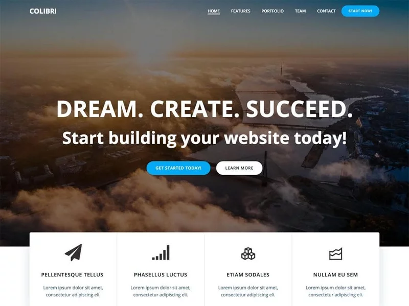 Popular WordPress Themes