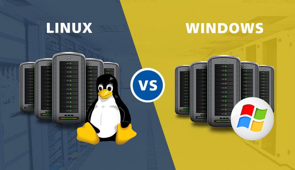 Linux Windows Web Hosting