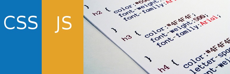 Simple Custom CSS And JS