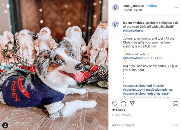 Give influencers unique discount codes