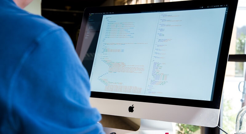 What Does A WordPress Development Agency Do