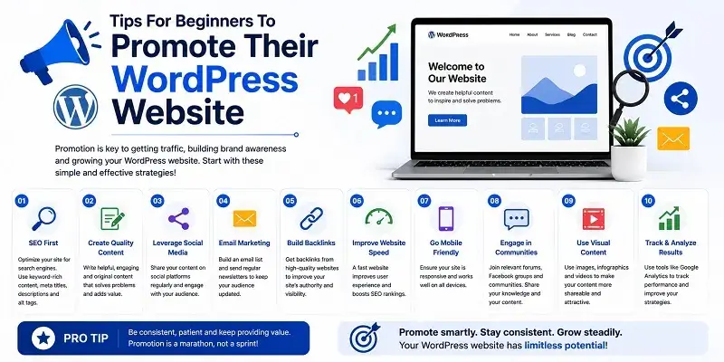 Beginners Promote Their WordPress Website